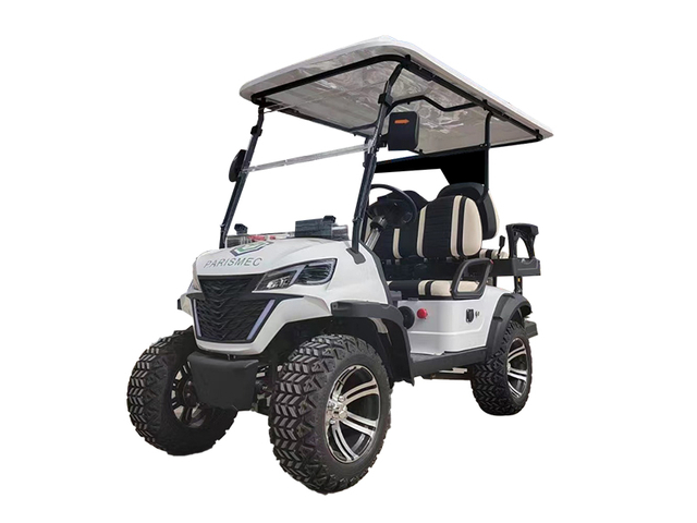 Z1-electric Golf Cart