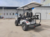 Z1-electric Golf Cart