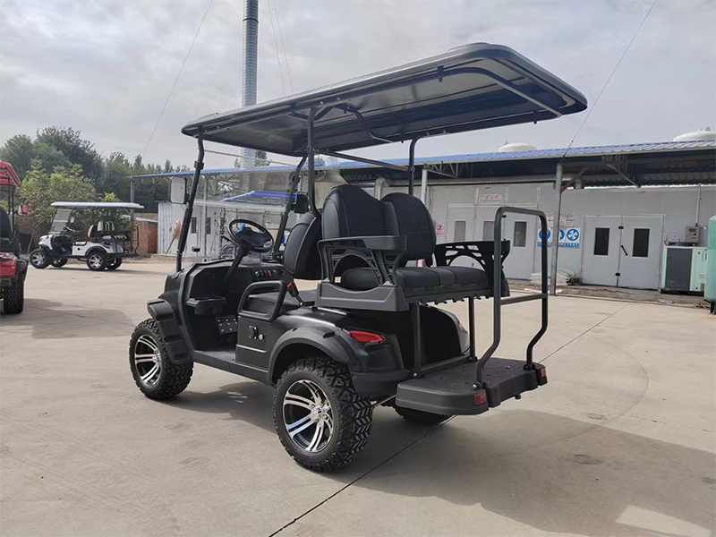 Z1-electric Golf Cart