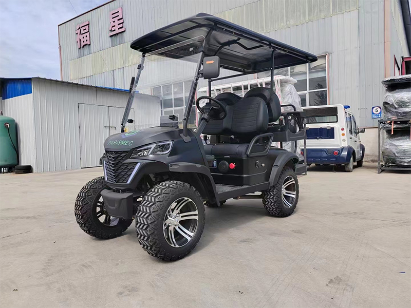 Z1-electric Golf Cart