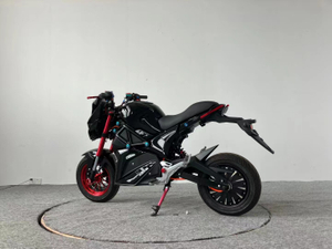 Little Monster-electric motorcycle