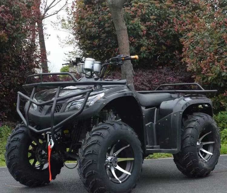 250cc ATV Monster