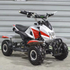 300W Electric ATV B