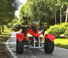 3000W Electric ATV Flame