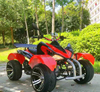 3000W Electric ATV Flame