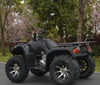 250cc ATV Monster