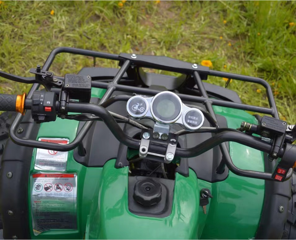 3000W Electric ATV Trample