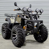 250cc ATV Mountain