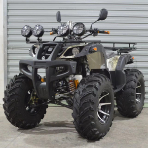 250cc ATV Mountain