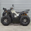 250cc ATV Mountain