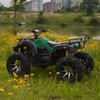 3000W Electric ATV Trample