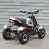 300W Electric ATV B