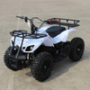 500W Electric ATV