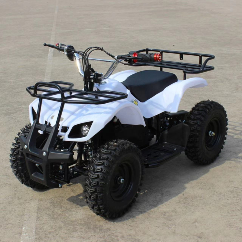 500W Electric ATV