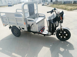 Comfortable -electric tricycle