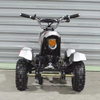 300W Electric ATV B