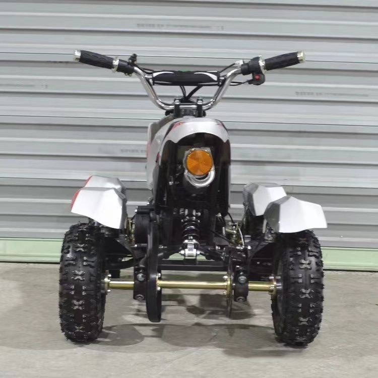 300W Electric ATV B