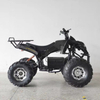 1000W Electric ATV Bully