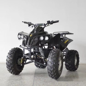 1000W Electric ATV Bully