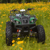 3000W Electric ATV Trample