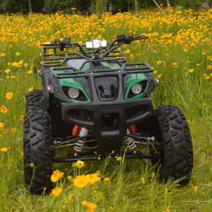 3000W Electric ATV Trample