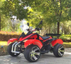 3000W Electric ATV Flame